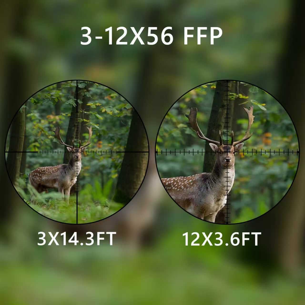 Aquilifer 3-12x56 FFP Optics Rifle Scope