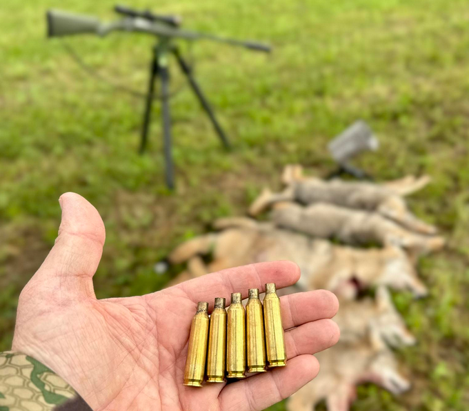 Coyote Control: How My 6-24×50 Became My Ranch's Best Defender