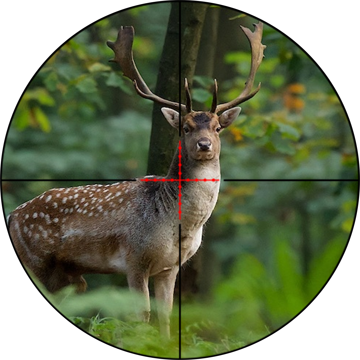 OPERATION PROTOCOL: OPTICS
