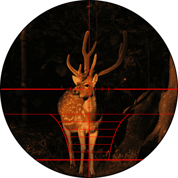 Red illumination view