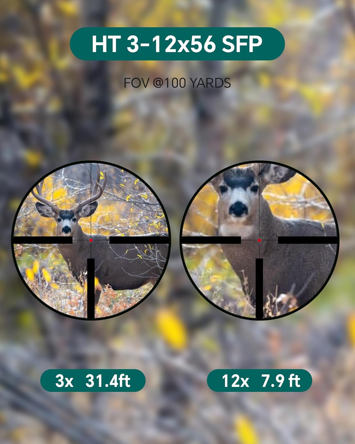 Aquilifer HT 3-12x56 SFP Optics Rifle Scope