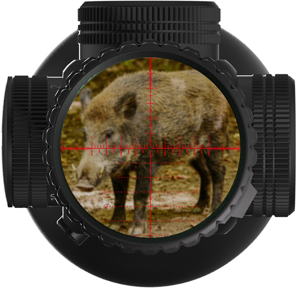 Single Coated · Darker, Blurry Image