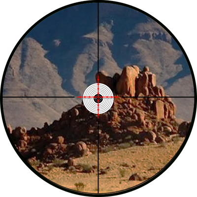 4x view