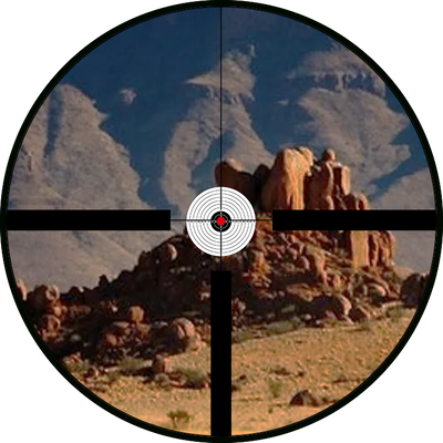 3x view