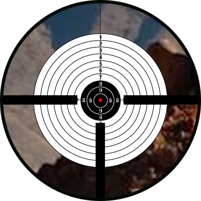 12x view